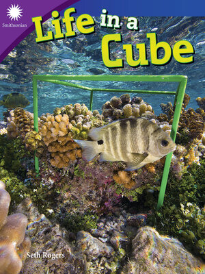 cover image of Life in a Cube